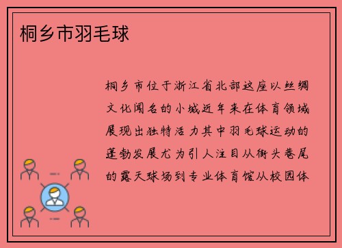 桐乡市羽毛球